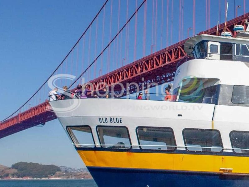 1 hour bay cruise by boat in San Francisco - Tour in  San Francisco