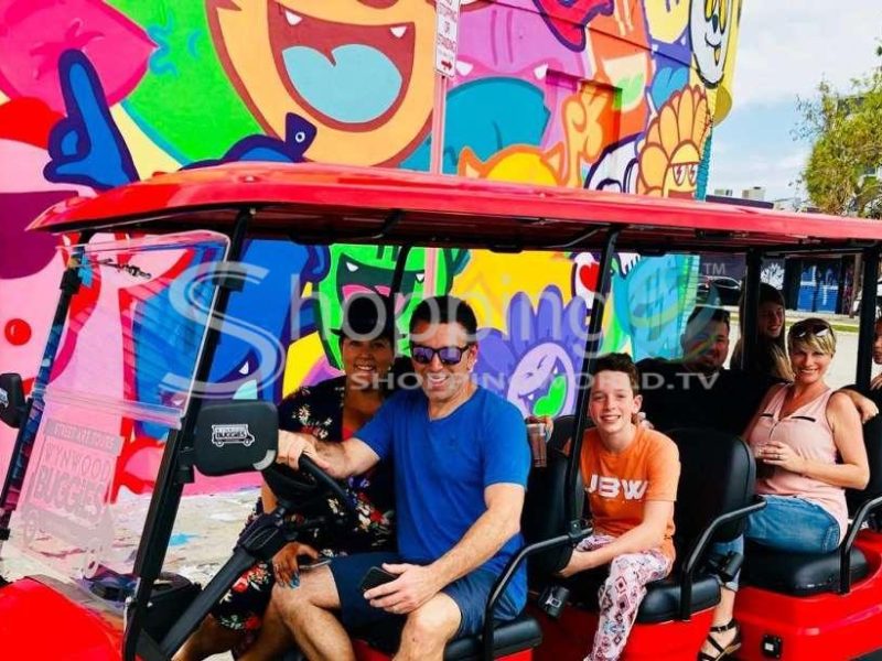 1 hour buggy street art tour in Miami - Tour in  Miami