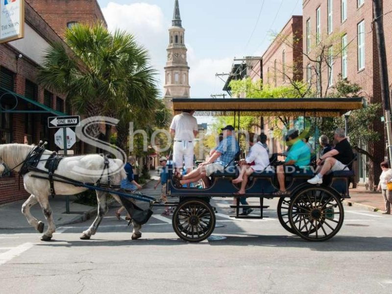 1 hour carriage tour of the historic district in Charleston - Tour in  Charleston