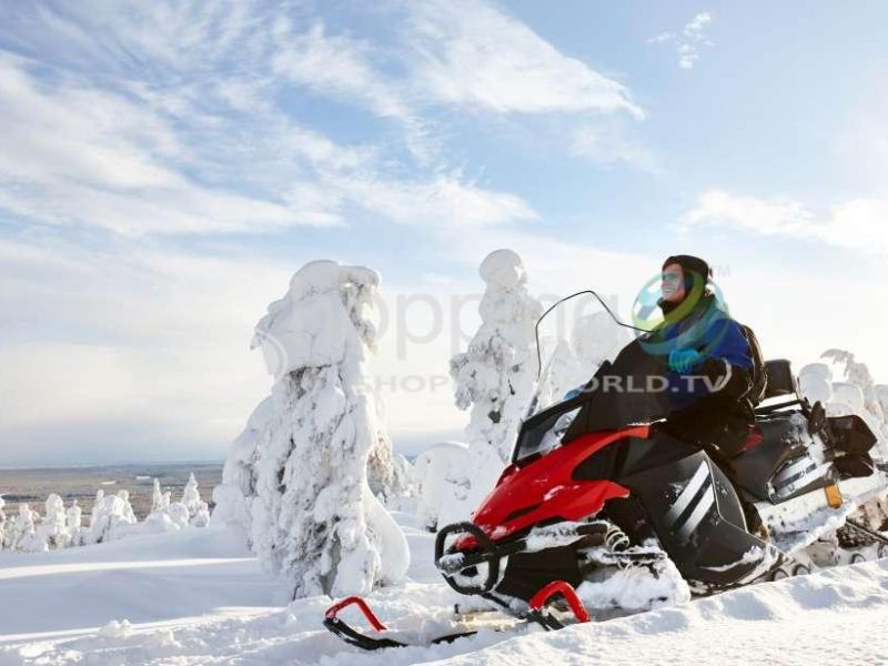 1-hour snowmobile tour in USA - Tour in Fairbanks