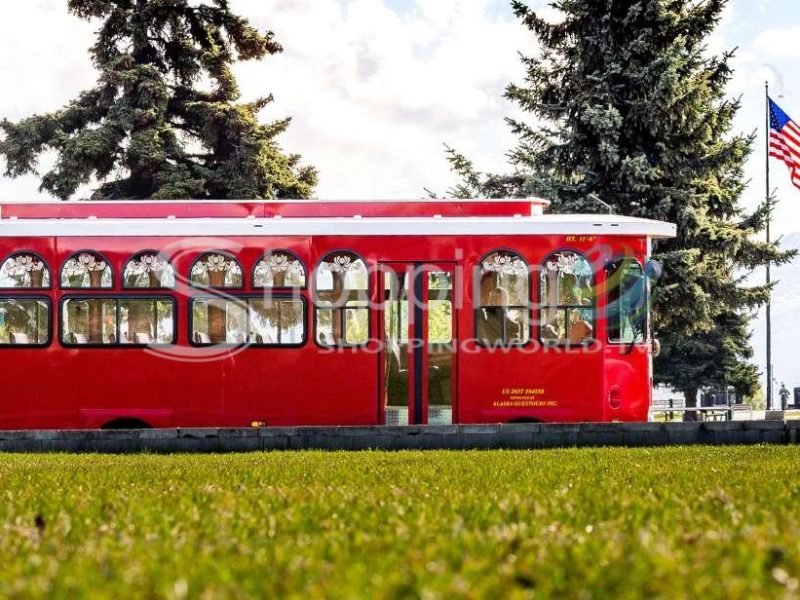 1 hour trolley tour in Anchorage - Tour in  Anchorage