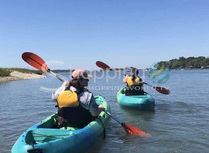 1.5-hour guided small-group kayak tour in USA - Tour in Hilton Head Island