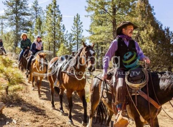 3-hour horseback ride in red canyon in Utah - Tour in  Utah