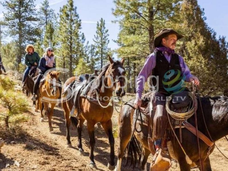 3-hour horseback ride in red canyon in Utah - Tour in  Utah