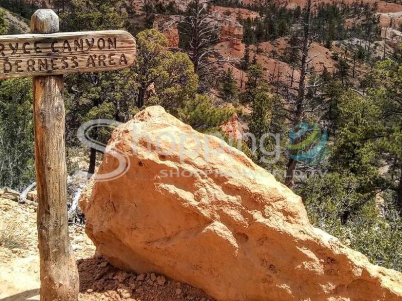 3 hour sightseeing tour in Utah - Tour in  Utah