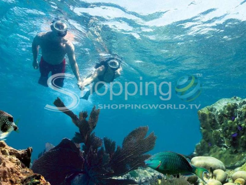 3-hour snorkeling adventure in Key West - Tour in  Key West