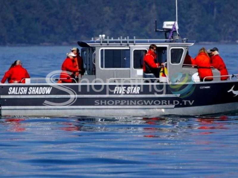 3-hour ultimate whale & marine wildlife tour in Victoria - Tour in  Victoria
