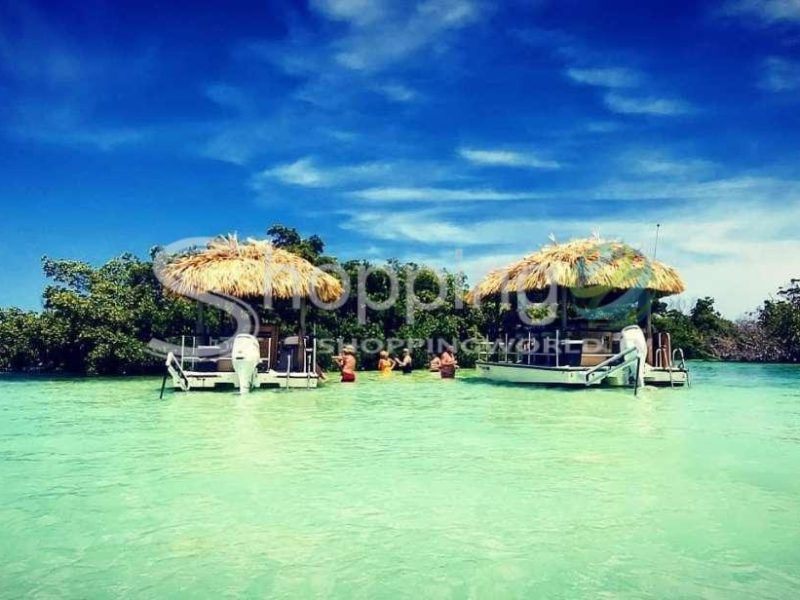 4-hour private sandbar cruise on a tiki bar boat in USA - Tour in Key West