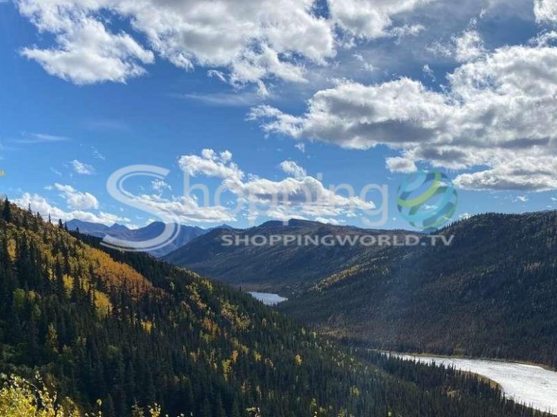 5-hour guided wilderness hiking tour in USA - Tour in Alaska