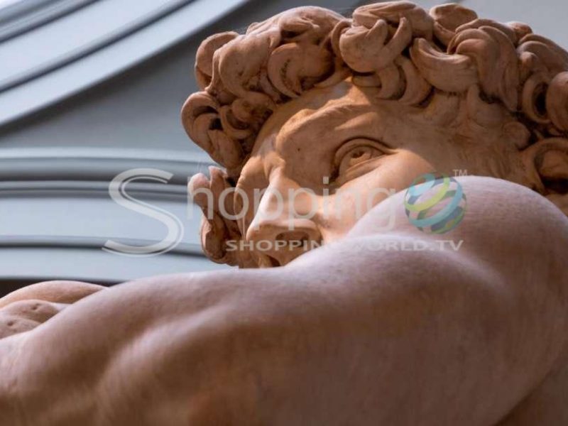 Accademia Reserved Ticket With Digital Booklet In Florence - Tour in  Florence