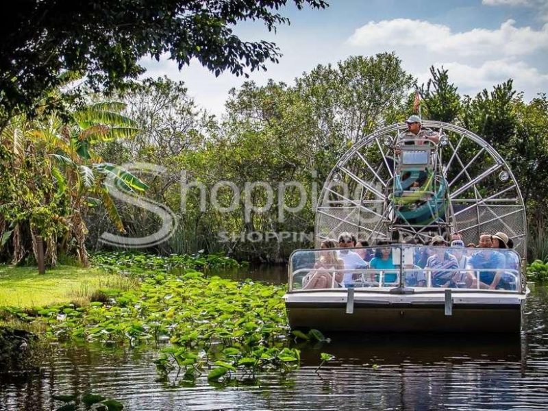 Airboat tour and park entrance in Park City - Tour in  Park City