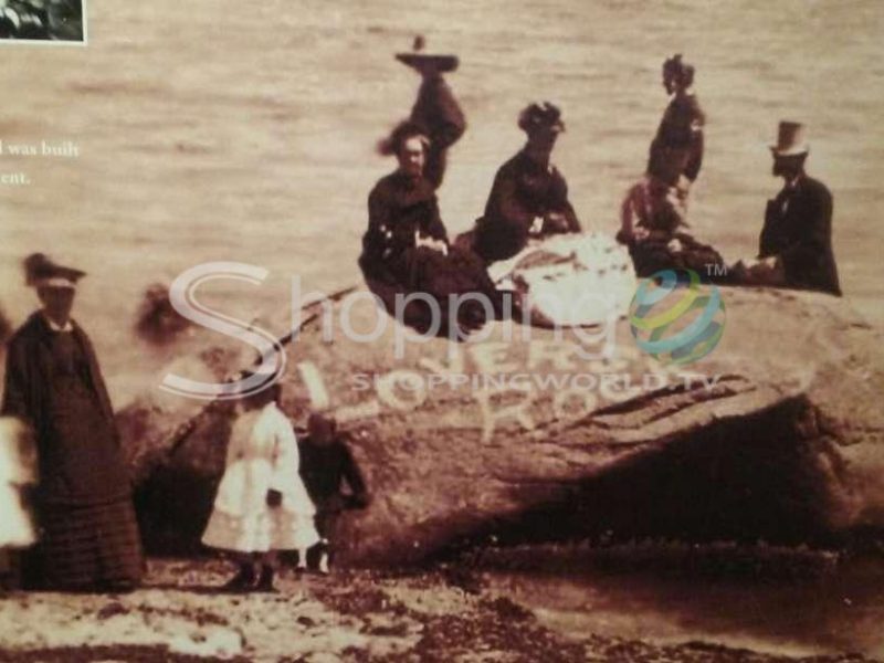 All island tour in Massachusetts - Tour in  Massachusetts