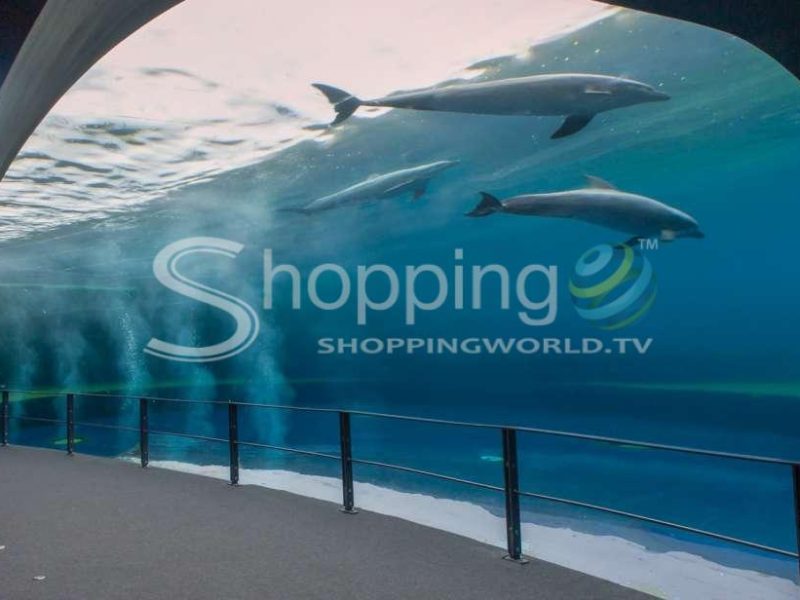 Aquarium And Fantacinema Combined Ticket In Genoa - Tour in  Genoa