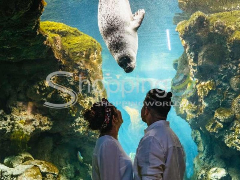 Aquarium Of Genoa Timeslot Entry Ticket In Genoa - Tour in  Genoa