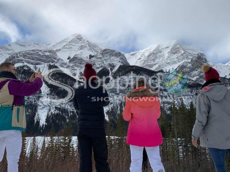 Banff winter wildlife safari drive and nature walk in Canmore - Tour in  Canmore