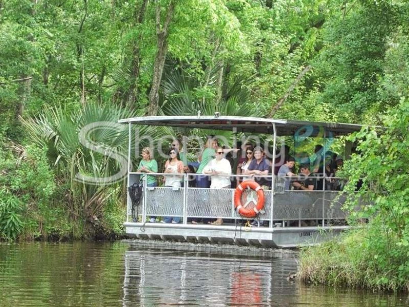 Bayou tour in jean lafitte national park in New Orleans - Tour in  New Orleans