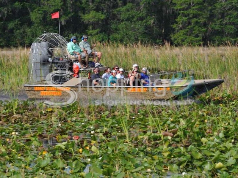 Boggy creek airboat ride with options in Orlando - Tour in  Orlando