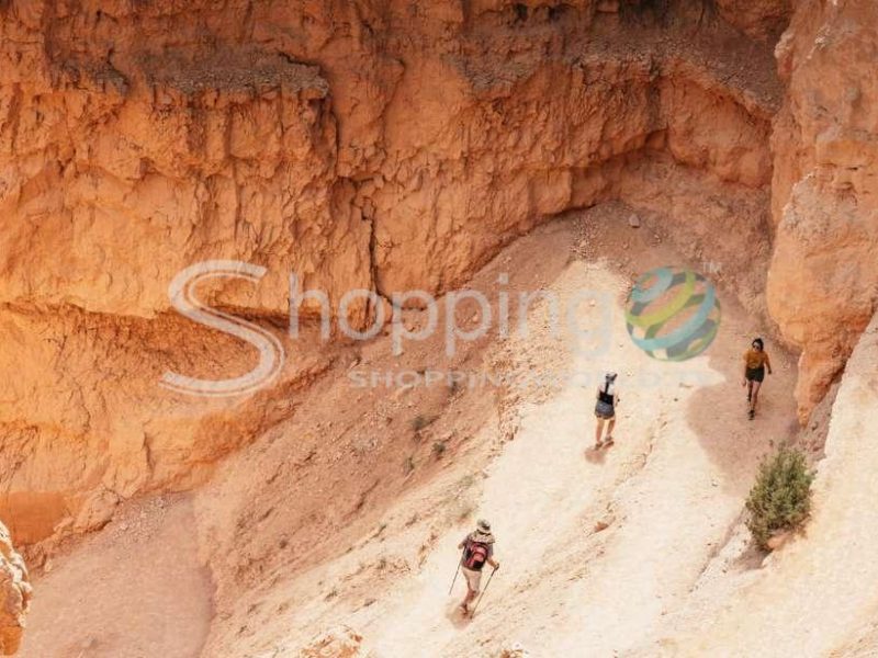 Bryce and zion national parks tour with lunch in Las Vegas - Tour in  Las Vegas