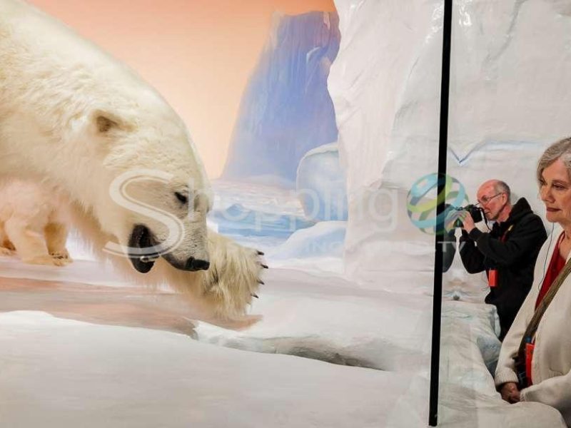 Canadian museum of nature admission in Canada - Tour in Ottawa