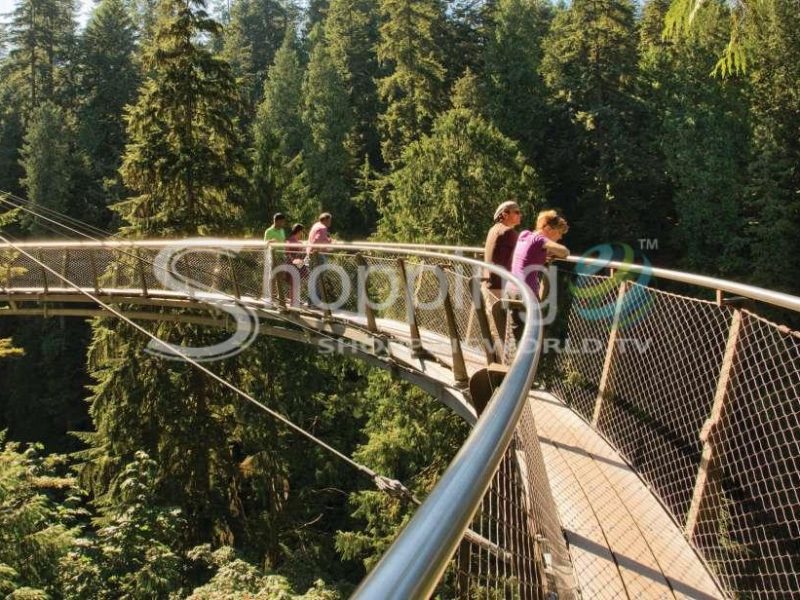 Capilano suspension bridge park entry ticket in Vancouver - Tour in  Vancouver