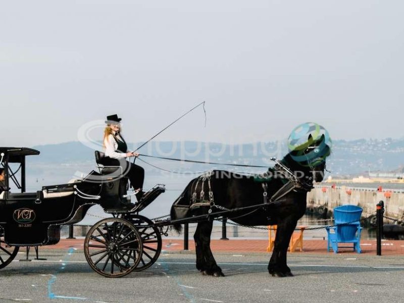 Carriage tour by the sea in Victoria - Tour in  Victoria