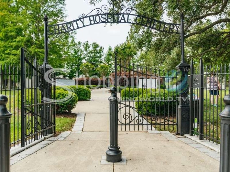 Cemetery tour in New Orleans - Tour in  New Orleans