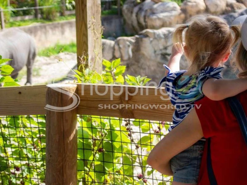 Central florida zoo skip the line ticket in Orlando - Tour in  Orlando