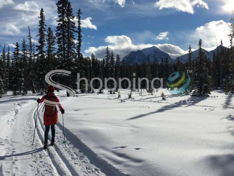 Cross country skiing lesson with tour in Banff - Tour in  Banff