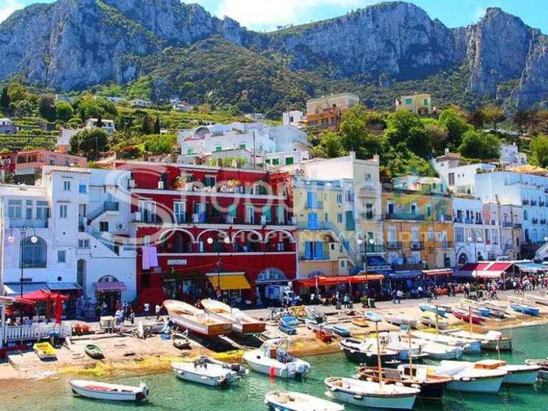 Day Trip To Pompeii And Capri In Naples - Tour in  Naples