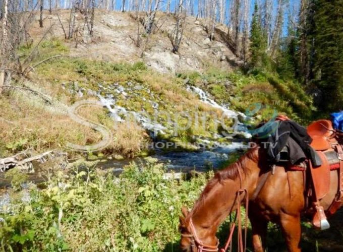 Dinner cookout & bridger-teton horseback ride in USA - Tour in Wyoming