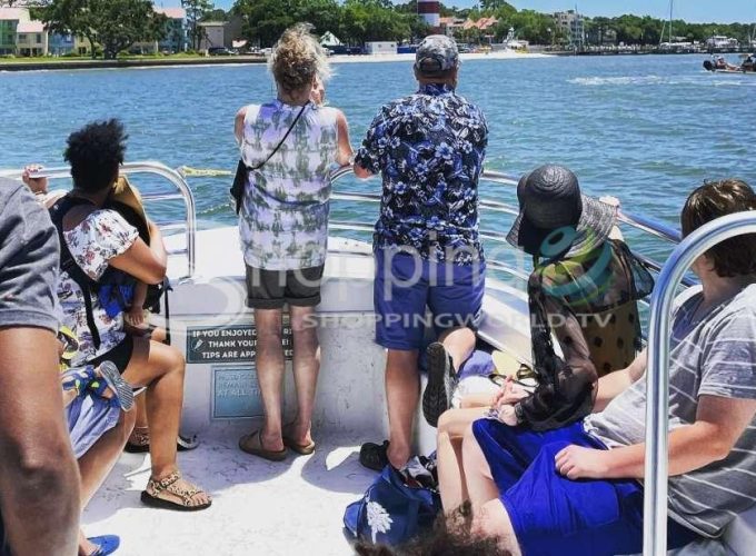 Dolphin cruise & nature tour in USA - Tour in Hilton Head Island