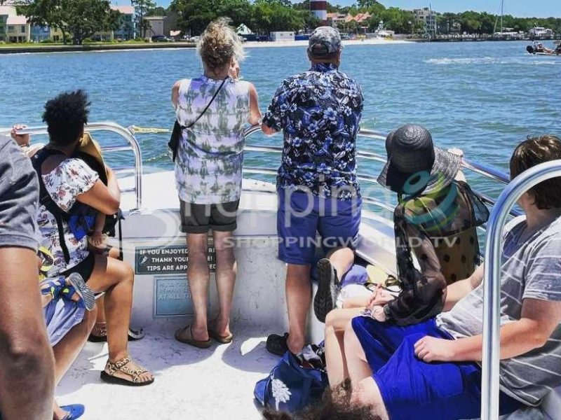 Dolphin cruise & nature tour in USA - Tour in Hilton Head Island