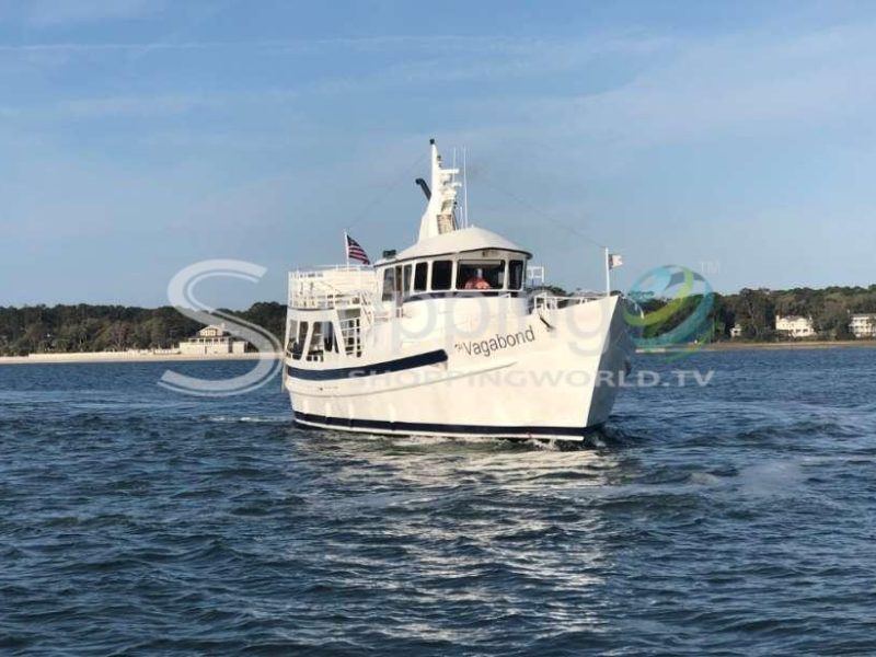 Dolphin nature cruise in Hilton Head Island - Tour in  Hilton Head Island