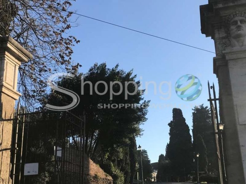 Domus Aurea Guided Walking Tour In Rome - Tour in  Rome