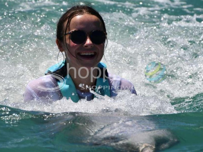 Duck key swim with dolphins in Florida - Tour in  Florida