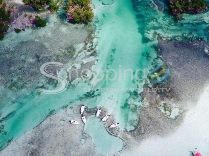 Eco safari tour with snorkeling in USA - Tour in Key West