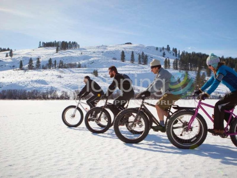 Electric fat tire bike ride on mount royal in Montreal - Tour in  Montreal