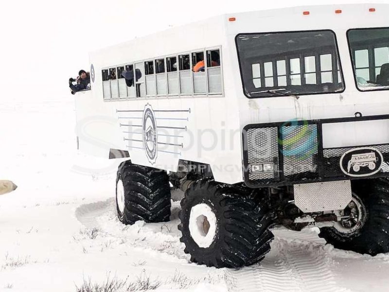 Exclusive tundra buggy day trip in Canada - Tour in Churchill
