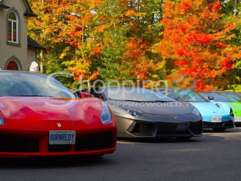 Exotic or supercar test drive on hamilton mountain in Toronto - Tour in  Toronto