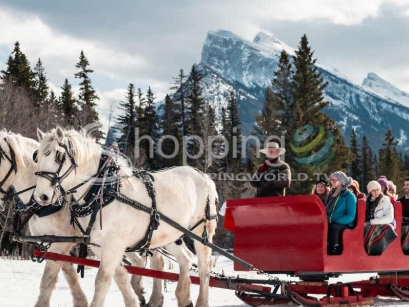 Family friendly horse-drawn sleigh ride in Canada - Tour in Banff