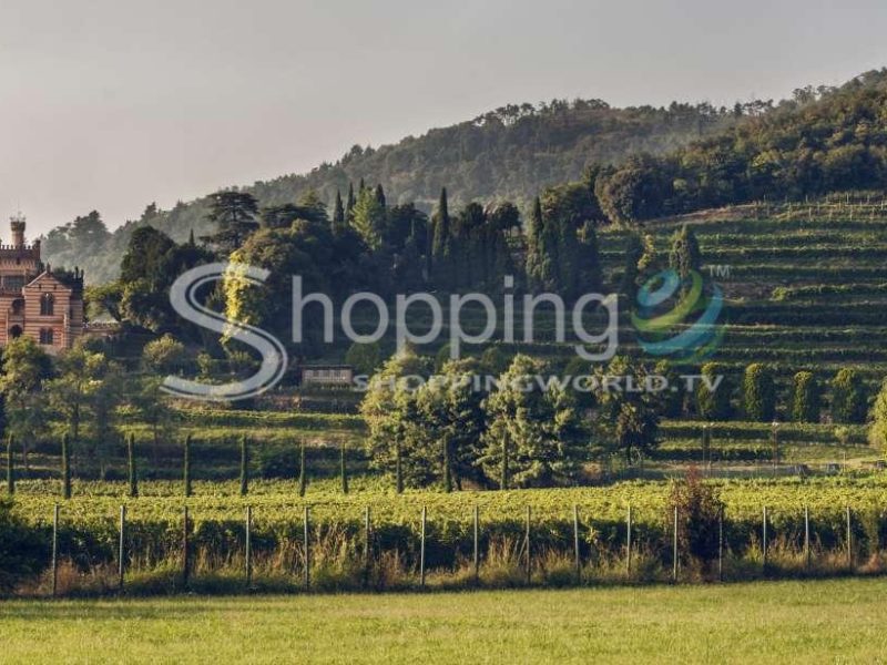 Franciacorta Wine Tour And Tasting Experience In Brescia - Tour in  Brescia