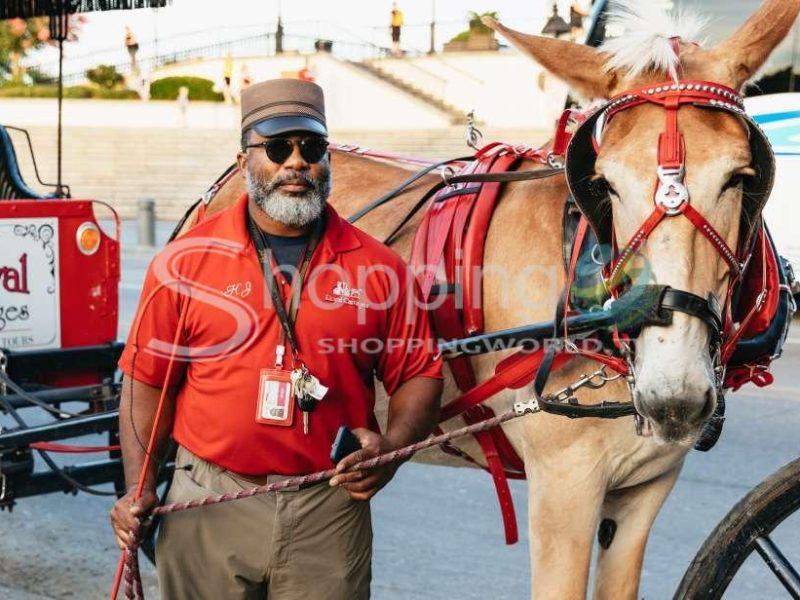 French quarter sightseeing carriage ride in New Orleans - Tour in  New Orleans