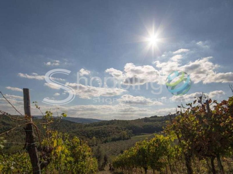 From Florence Chianti Wine Tasting At Sunset Day Trip In Florence - Tour in  Florence