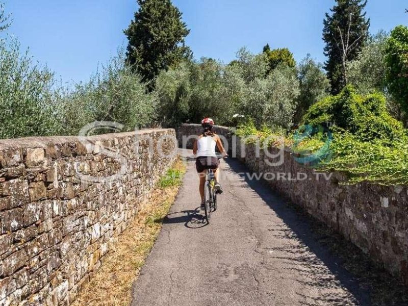 From Florence Half-day Taste Of Tuscany Bike Tour In Florence - Tour in  Florence