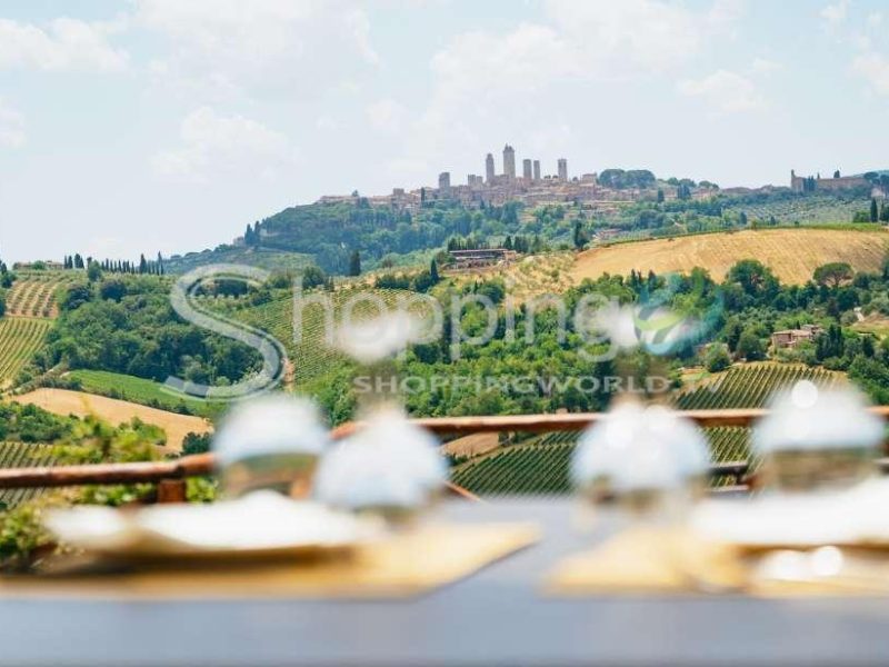 From Florence Tuscany Day Trip With Lunch At Chianti Winery In Florence - Tour in  Florence