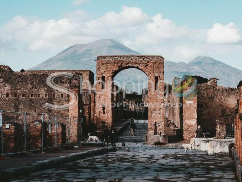 From Naples Pompeii & Herculaneum Full-day Sightseeing Tour In Naples - Tour in  Naples