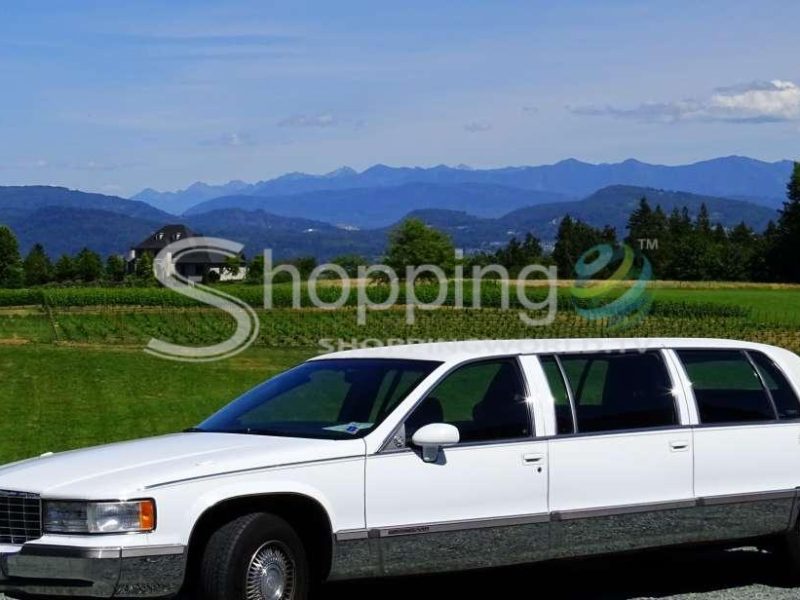 Full-day city tour and wine tasting in Vancouver - Tour in  Vancouver