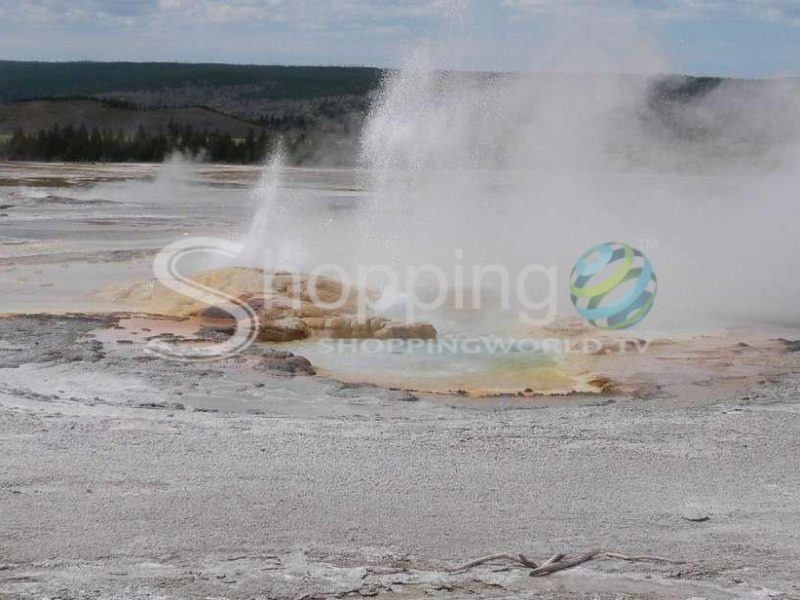 Full day yellowstone lower loop tour in Wyoming - Tour in  Wyoming