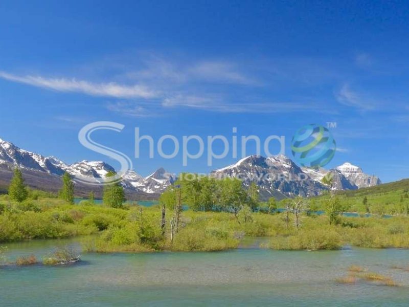 Glacier national park whitewater rafting trip in West Glacier - Tour in  West Glacier