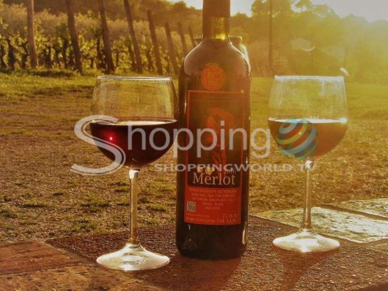 Guided E-bike And Wine Tour In Lucca - Tour in  Lucca